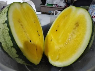 Прикрепленное изображение: IMG_20210726_205441_resize_68.jpg